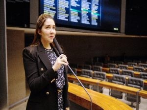 Comissão aprova extensão de Área de Livre Comércio de Macapá e Santana ao município de Mazagão
