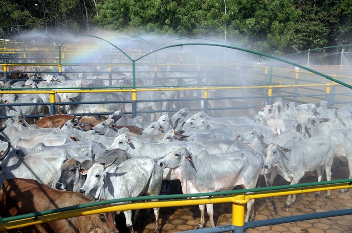 Proibição de contingenciamento na defesa agropecuária está na pauta da CAE