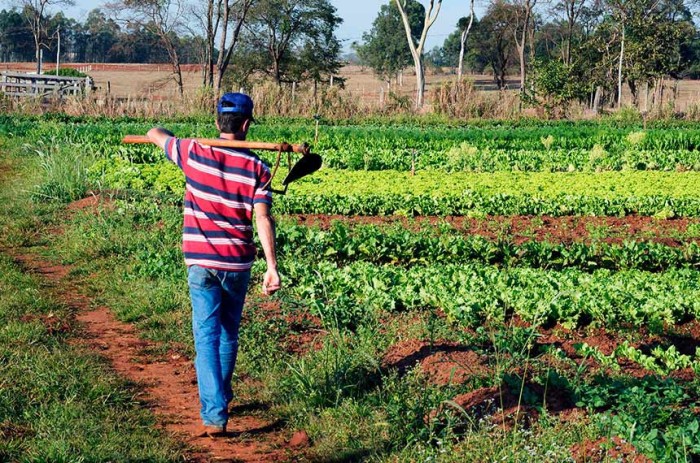 Lei que retoma o Programa de Aquisição de Alimentos é sancionada