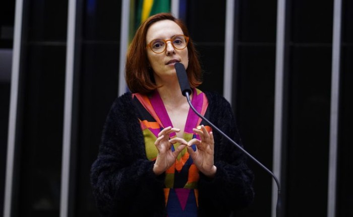Comissões discutem aumento dos casos de violência contra as mulheres no Brasil