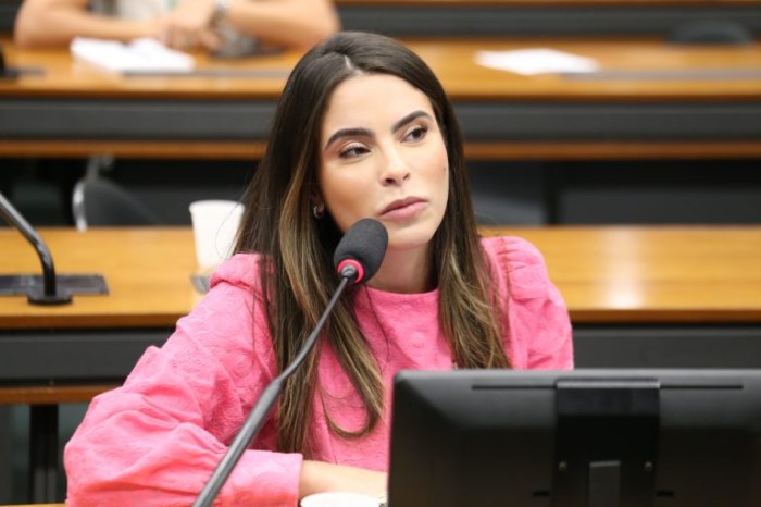 CCJ aprova garantia de emissão de documentos com acessibilidade para deficientes visuais