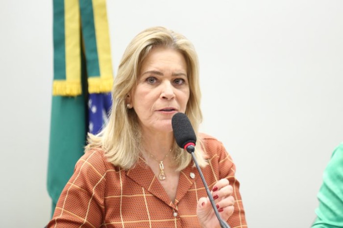 Comissão aprova criação de selo “Empresa Sem Agressor de Violência Doméstica”