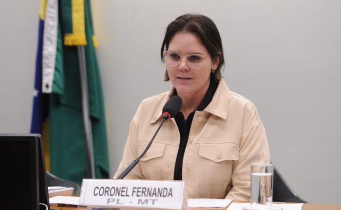 Comissão aprova projeto que exige informe do Imposto de Renda pelo correio para pessoa idosa que pedir