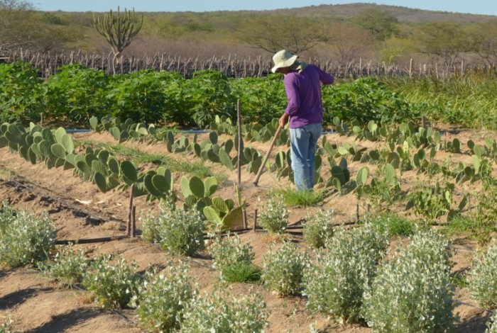 Inadimplência atinge 28% dos produtores rurais no país