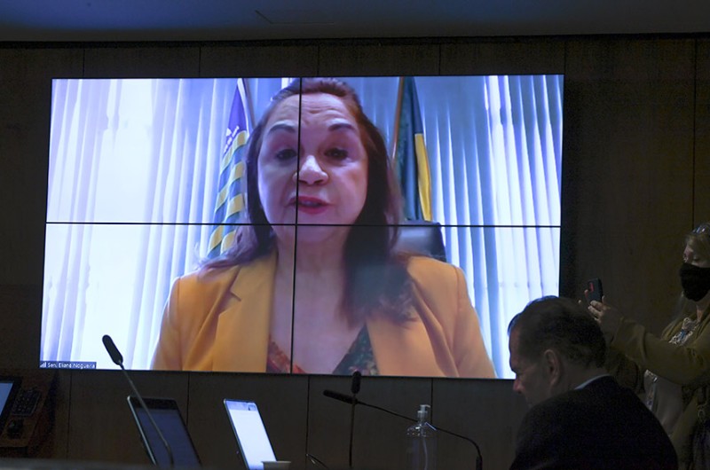 Polícias militares e civis poderão consultar cadastros de armas, aprova CRE