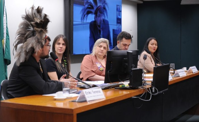 Para ambientalistas, Brasil está atrasado na mitigação dos efeitos climáticos
