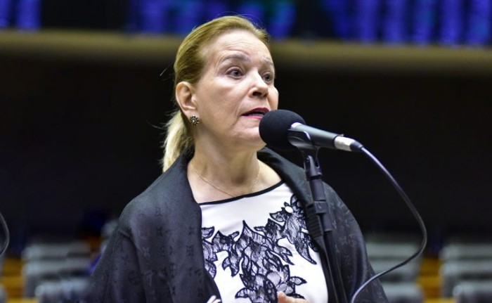 Comissão aprova transporte coletivo gratuito para mulher vítima de violência doméstica