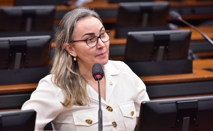 Comissão de Segurança Pública debate uso de câmeras por agentes públicos