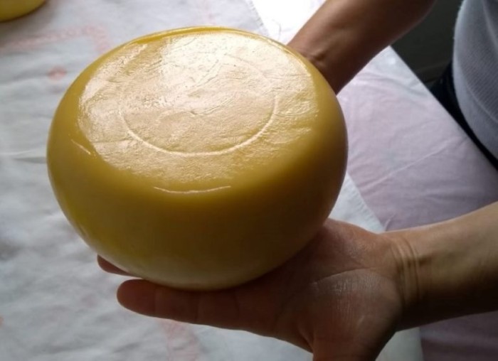 Comissão realiza seminário sobre políticas públicas para o queijo artesanal na quinta