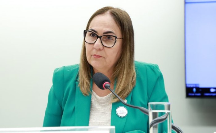 Comissão aprova vale-táxi para mães e idosos em situação vulnerável