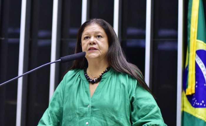 Comissão aprova benefício para famílias de baixa renda adquirirem material de construção