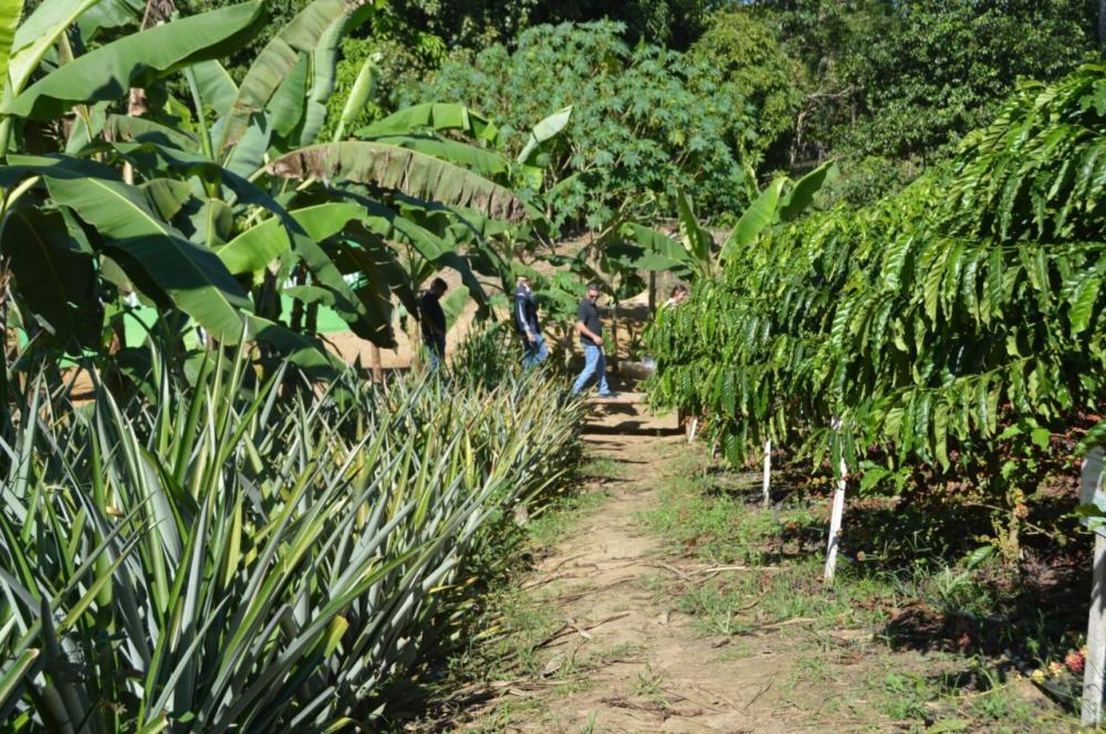 Vitrine Tecnológica reforça produção sustentável na agricultura familiar na Rondônia Rural Show