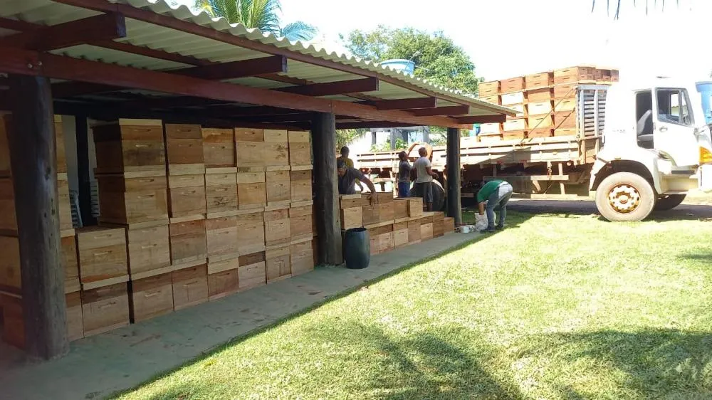 Dia Especial de Apicultura da Amazônia Ocidental acontece no próximo dia 11