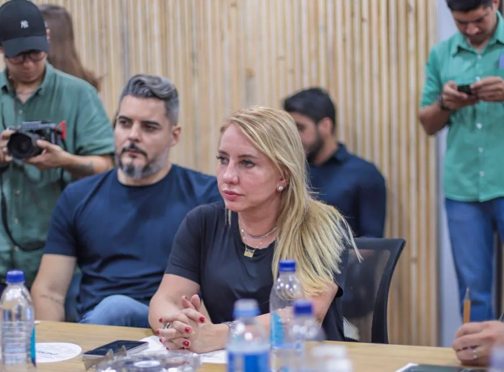 Ieda Chaves defende a necessidade de revisão de leis que tratam do setor rural no Estado