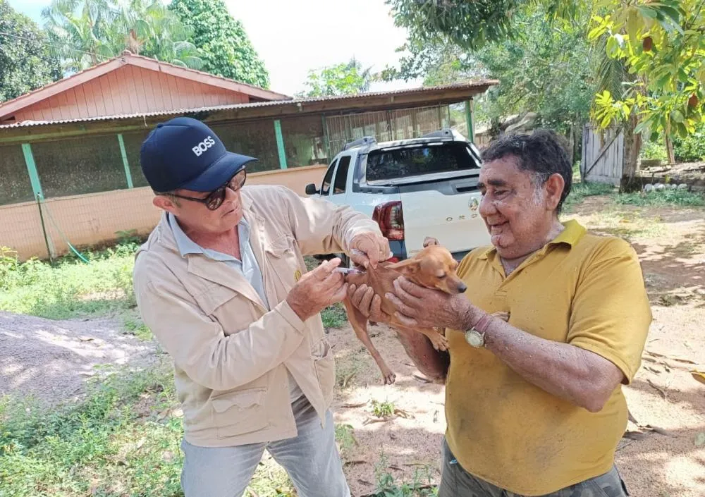 Mais de mil animais foram imunizados contra a raiva em mutirão de vacinação na zona rural de Porto Velho