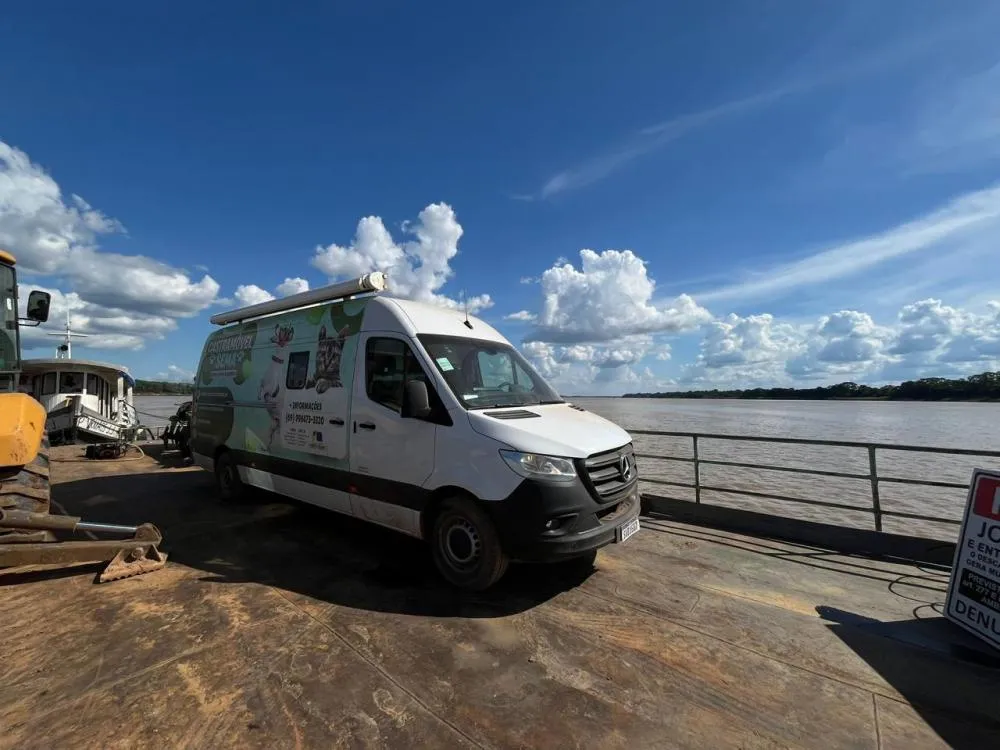 Prefeitura segue com programação de castração gratuita de animais de pequeno porte em Porto Velho e distritos