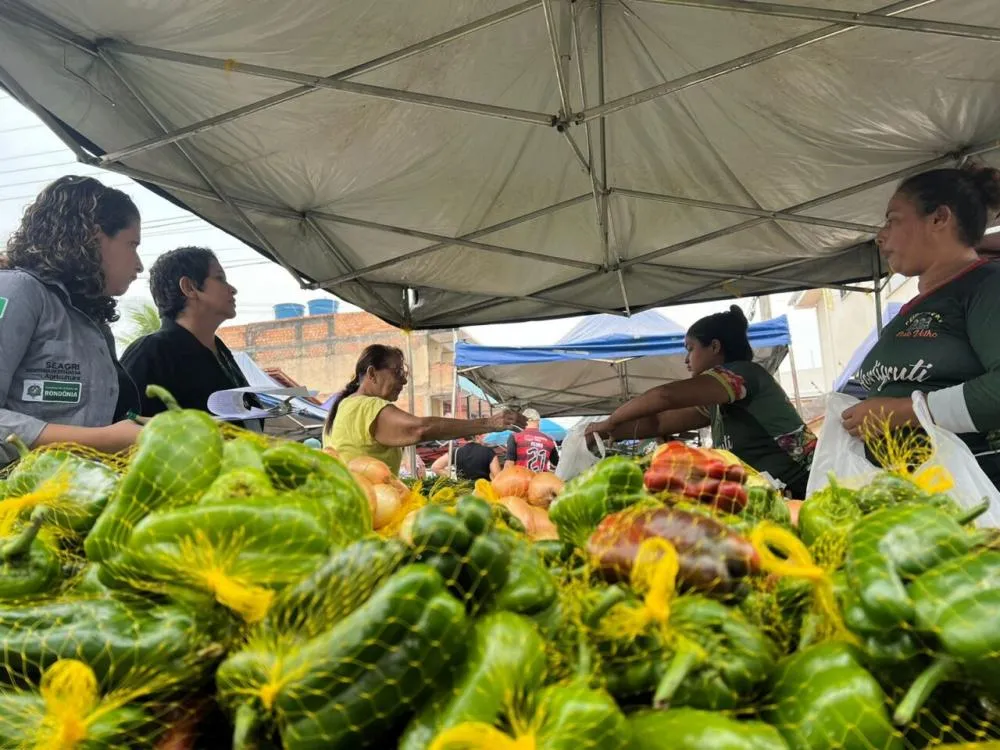 Programas de aquisição de alimentos garantem renda a centenas de agricultores familiares