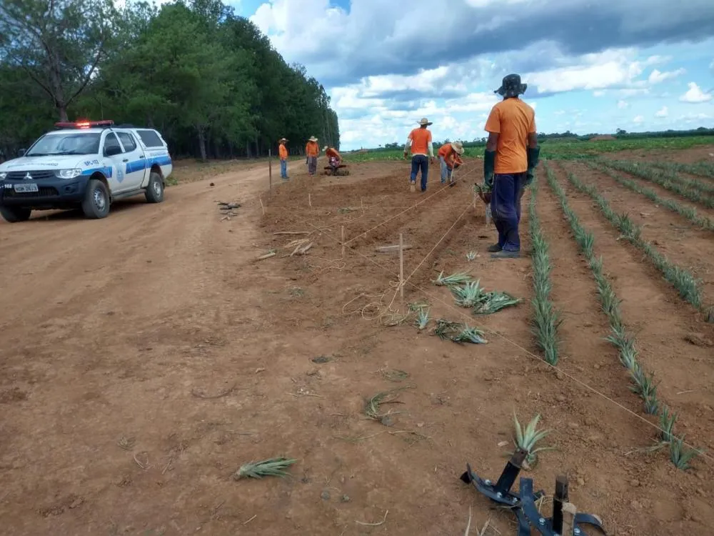 Rondônia atinge primeiro lugar nacional em percentual de reeducandos trabalhando 