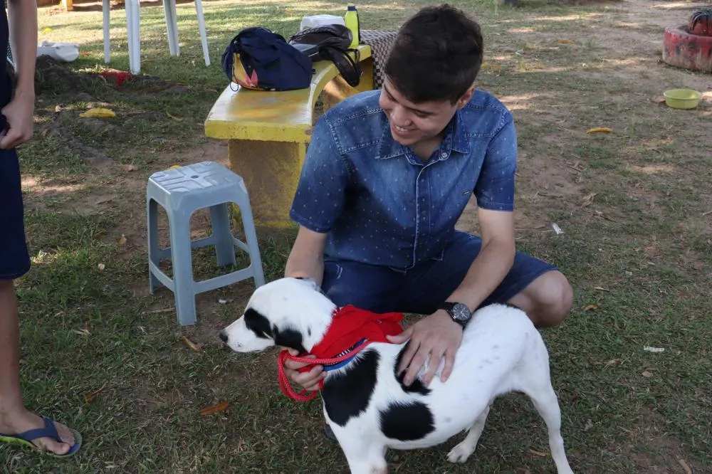 Sempba reforça campanha de adoção de animais de rua