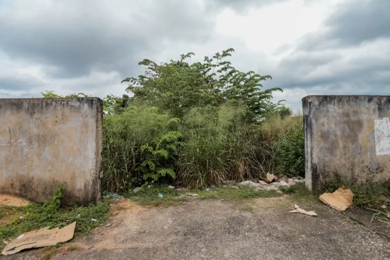 Saiba como colaborar com denúncias de terrenos baldios irregulares em Porto Velho