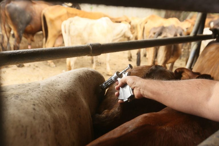 Nova lei substitui fiscalização agropecuária por autocontrole dos produtores