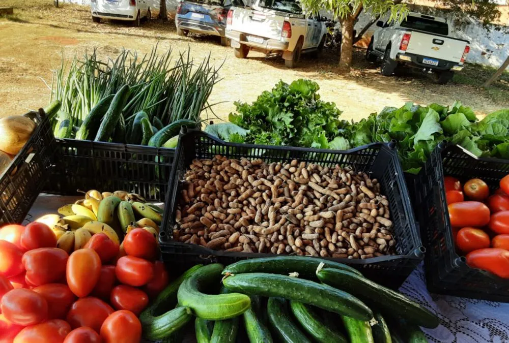 Programa de Aquisição de Alimentos do governo de Rondônia beneficia agricultores familiares