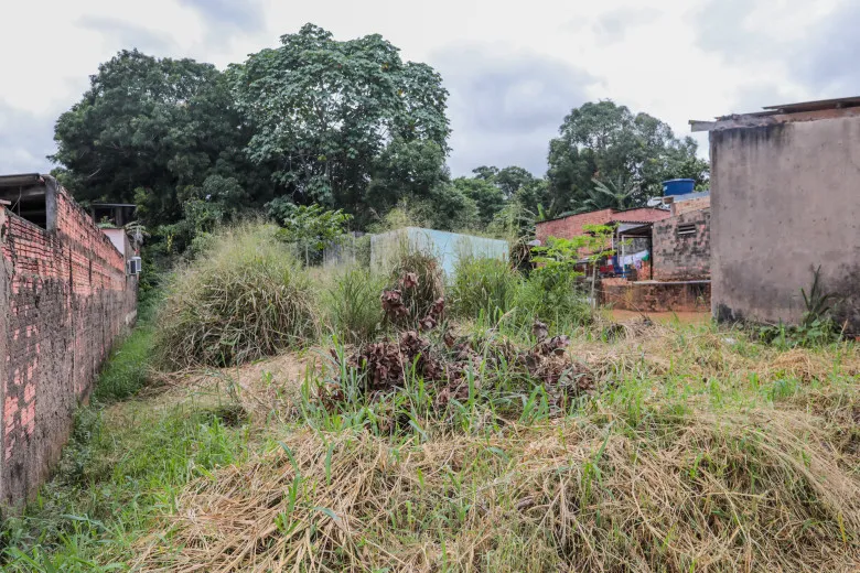 Descarte de lixo em terrenos baldios deve ser denunciado