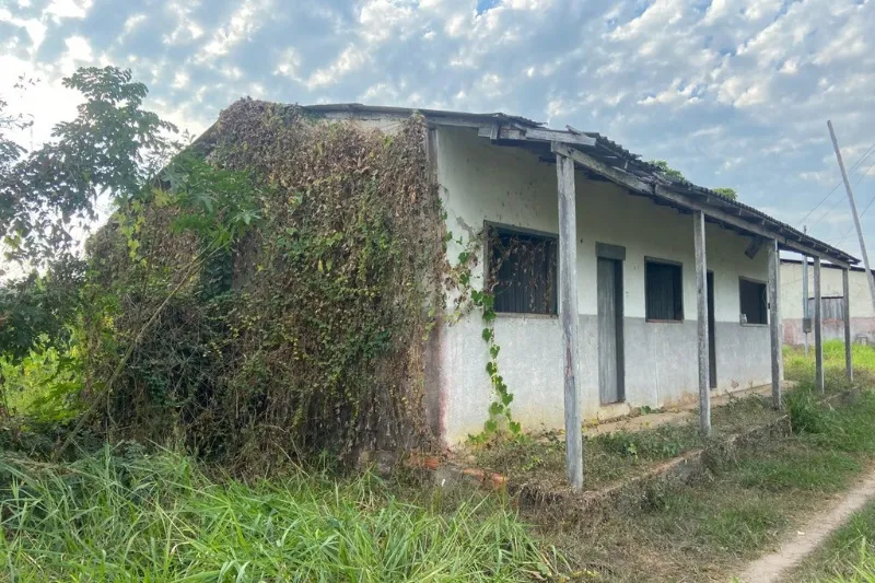 Divulgação