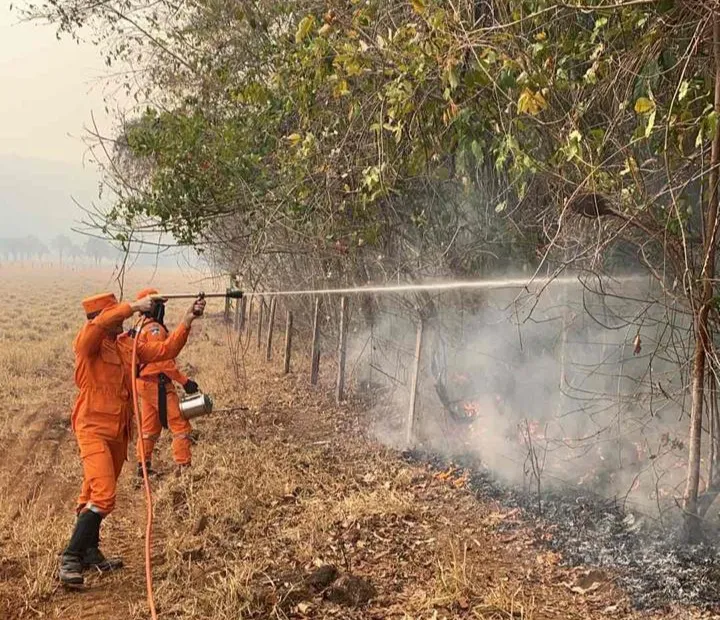 Força-tarefa do Corpo de Bombeiros Militar de Rondônia executa ação de combate a incêndio florestal, em Costa Marques