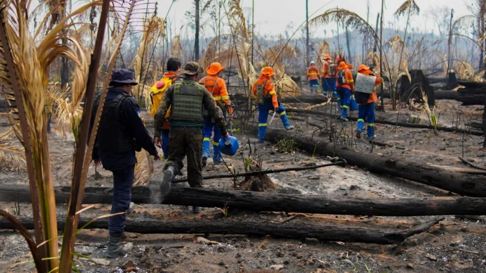 Equipes buscam alternativas de acesso aos locais de combate a focos de calor no Parque Guajará-Mirim
