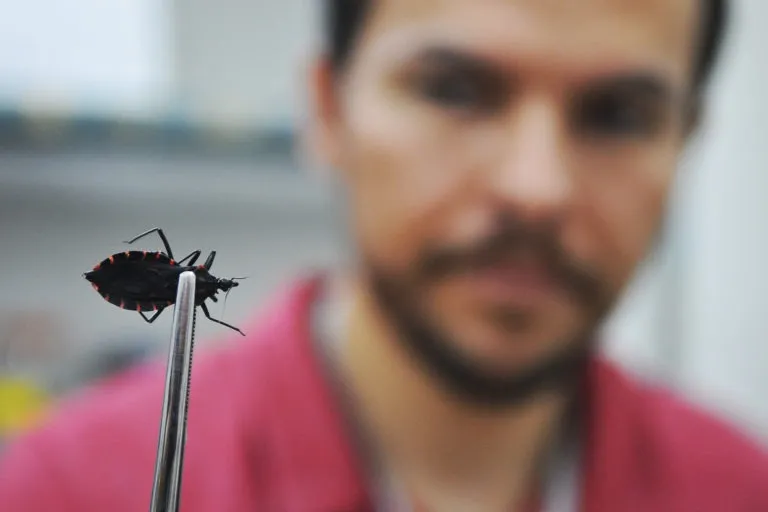 Gestores são orientados a implantar postos de informações sobre o inseto ‘barbeiro’