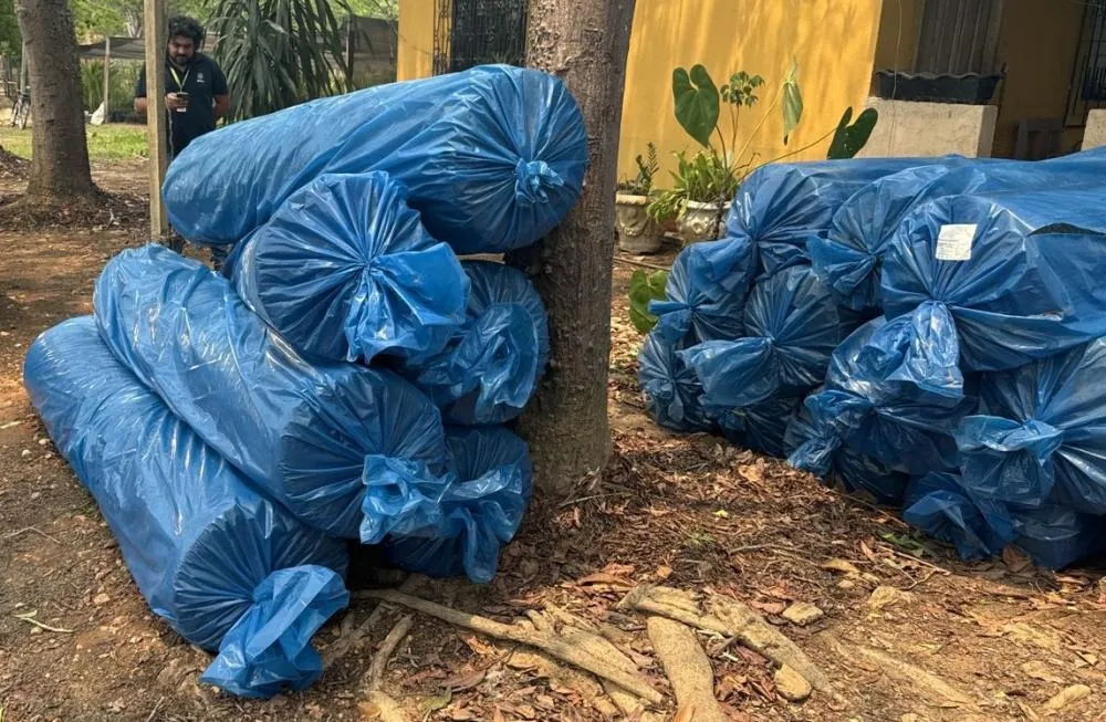 Projeto de recuperação das nascentes do Rio Pirarara reforça combate à crise hídrica em Rondônia