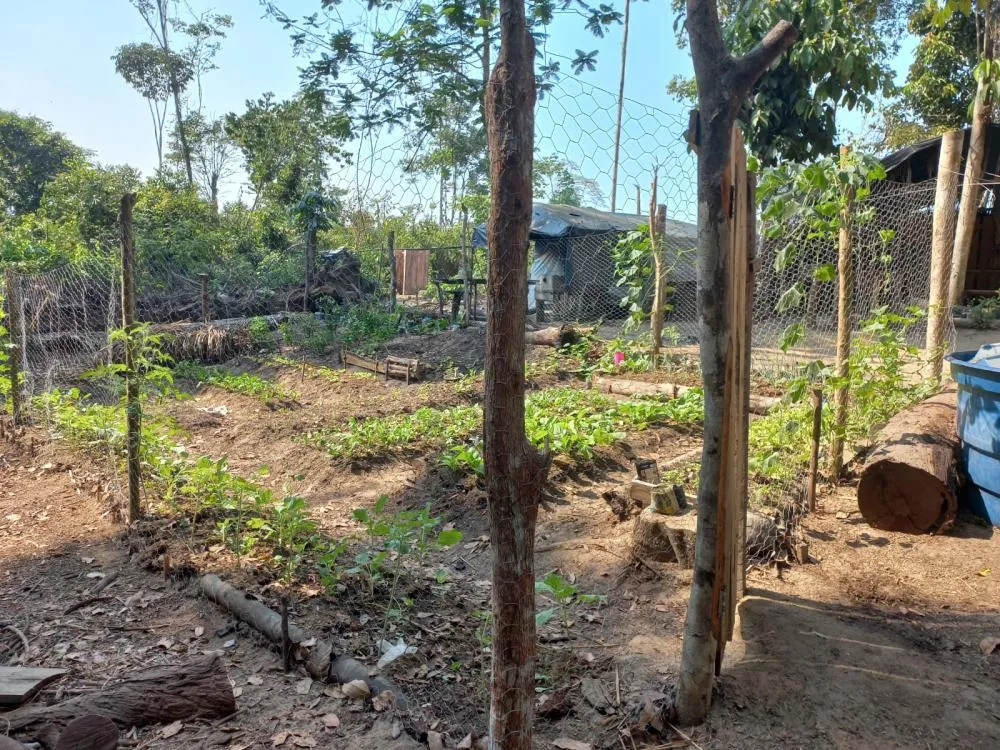 Em Rondônia, MPF consegue evitar despejo de 180 famílias sem-terra em área destinada à reforma agrária