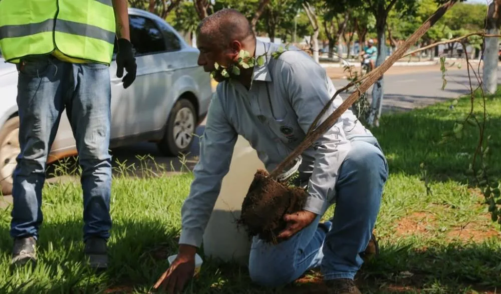 Semma dá início ao projeto de arborização urbana em Vilhena