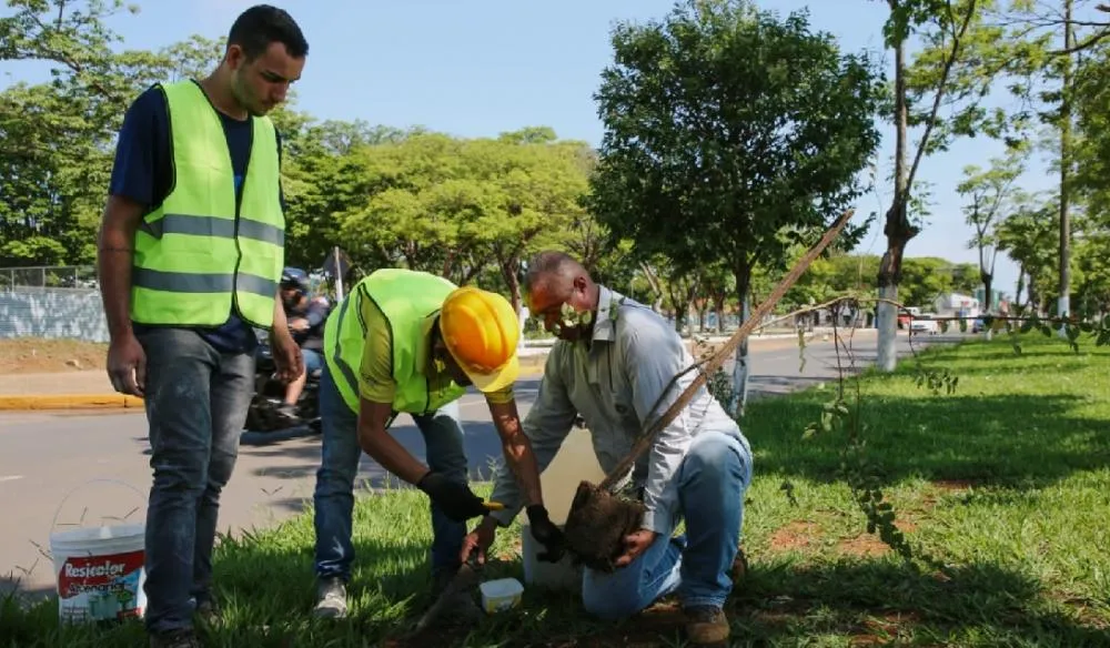 Conferência Intermunicipal do Meio Ambiente e Mudanças do Clima será realizada em Vilhena na próxima semana