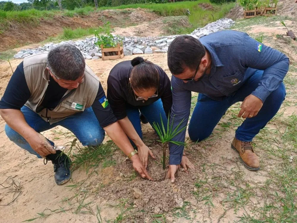Recomposição florestal de Áreas de Preservação Permanente é realizada em Espigão do Oeste