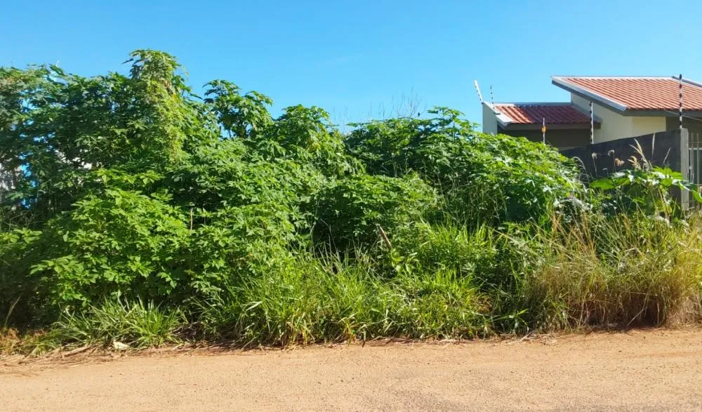Prefeitura alerta sobre importância de limpeza de terrenos em Vilhena