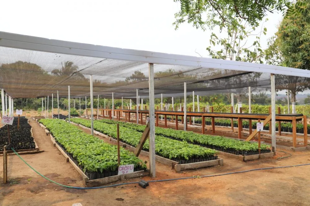 Técnicos realizam visita técnica para conhecer fabricação de bioinsumos em propriedade rural de Seringueiras