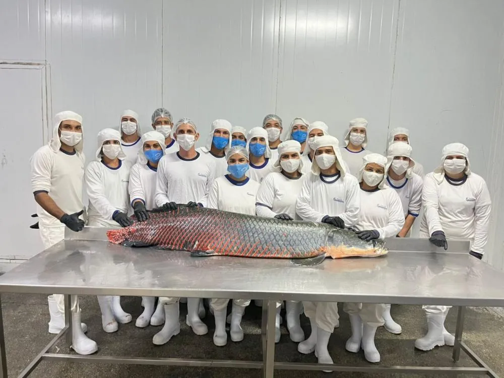 Integração amplia área de comércio à indústria de peixes do Vale do Paraíso