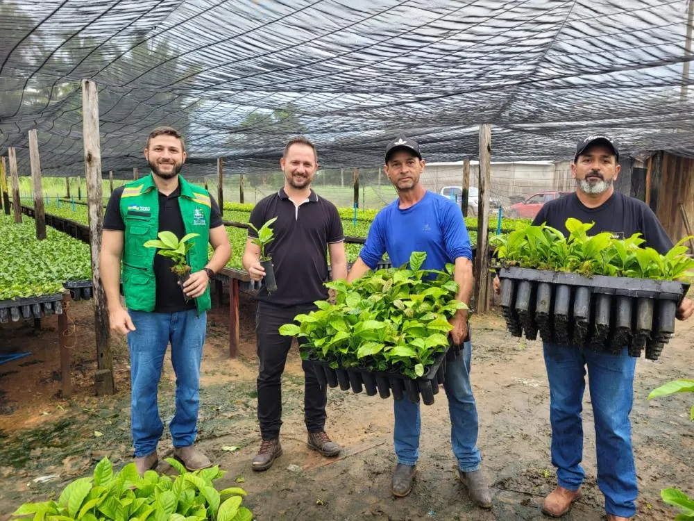 Prefeitura de Jaru contribui para a expansão da cafeicultura no município