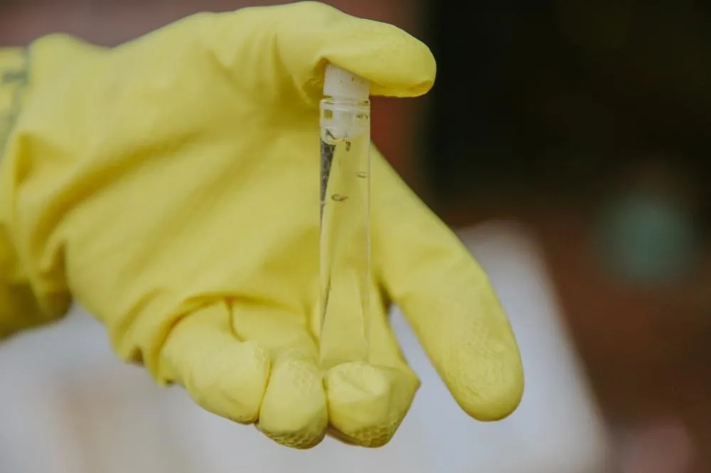 Semus divulga balanço de casos de chikungunya em Vilhena
