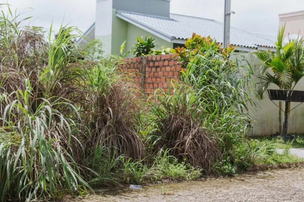 Prefeitura intensifica fiscalização e aplica multas para terrenos baldios sem manutenção