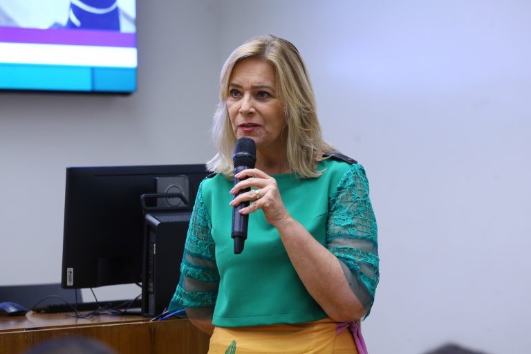 Projeto concede guarda unilateral de filho para a mãe durante a amamentação