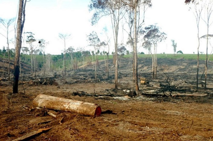 Corte de crédito para a agropecuária será debatido na CRA