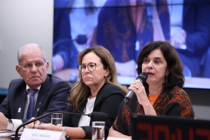 Ministra da Saúde explica programa de equidade de gênero em audiência na Câmara