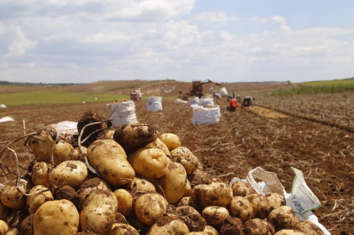 Comissão debate o Plano Safra 2023/2024 e a agricultura familiar