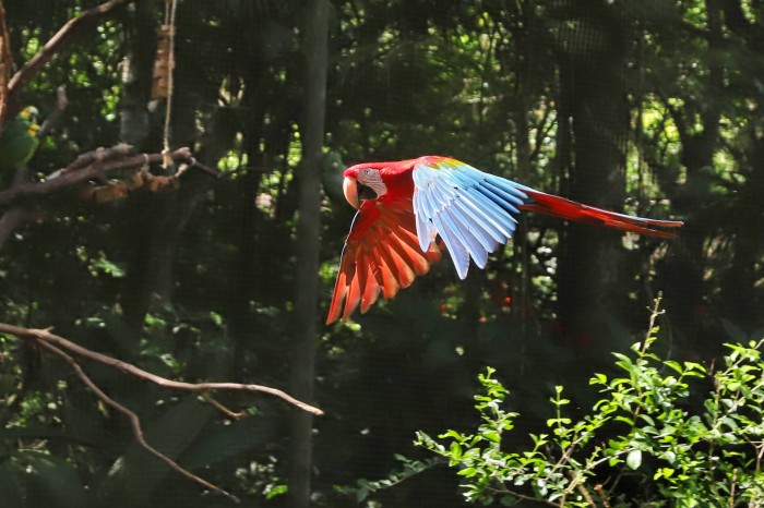 Com ações inéditas, Paraná participa de feira internacional de observação de aves